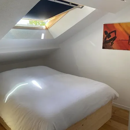 T3 duplex6 hyper-centre climatisé-2