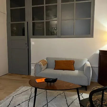 Appartement 35 m2 Hôtel Particulier XVII ieme Centre Historique Clermont-Ferrand-Lucas II-2