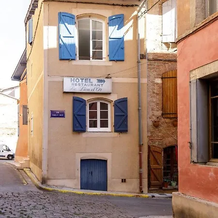 Suite Griffoul - Hypercentre de Gaillac-3