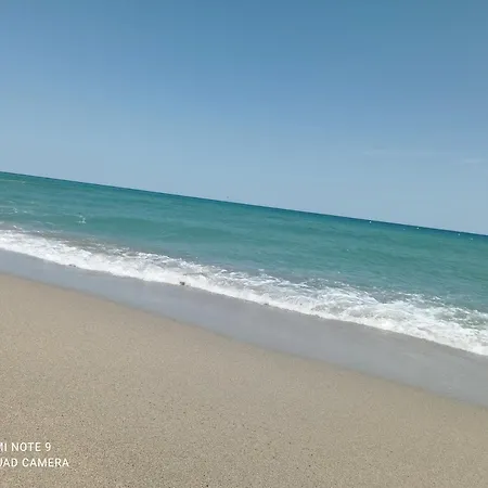 Charmant 2 pièces avec terrasse en bord de mer-2