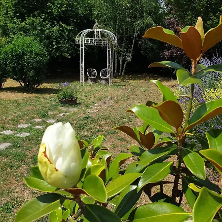 La Maison Des Thermes, Chambre D'Hote-3