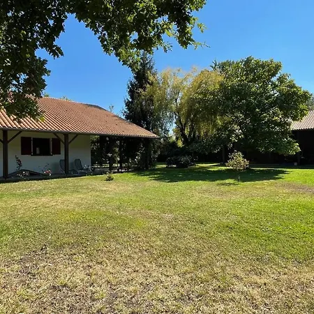 Villa au milieu des pins / bord du lac-3