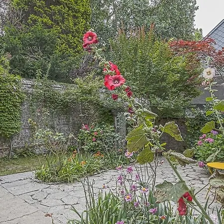 Maison de ville avec jardin Etretat-3