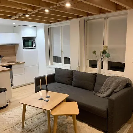 Duplex Vieux Lille-2