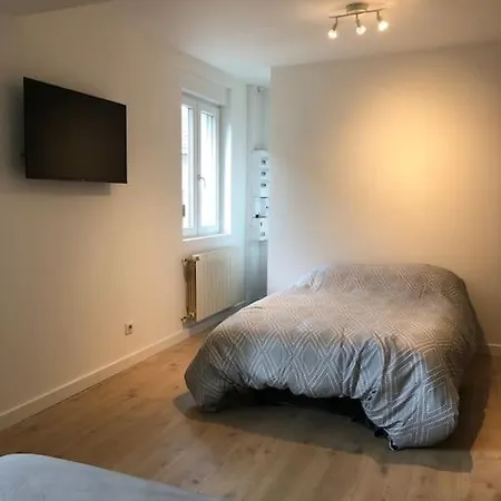 Appartement moderne&lumineux 40m2 Centre Luxeuil-2