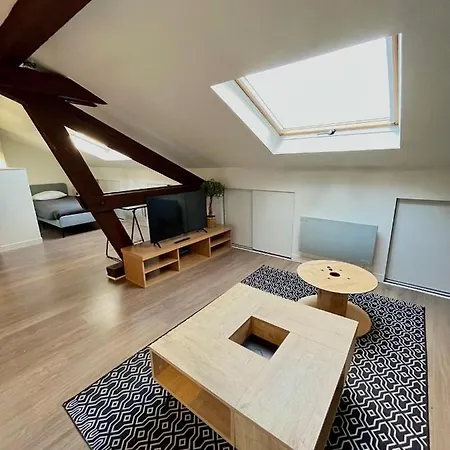 Pin's - Magnifique appartement-2