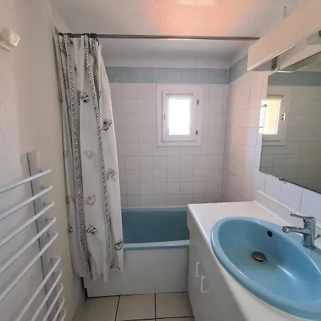 Appartement 2 Pieces Avec Climatisation Et Loggia A Argeles-Sur-Mer, Proche Commerces Et Plage - Fr-1-388-87-2