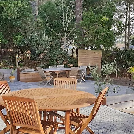 Arcachon T2 Les Abatilles Terrasse Sud Au Calme-2
