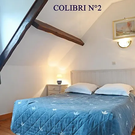 Le colibri-2