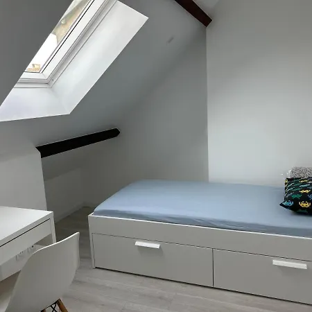 F3 au grenier d'une maison-3