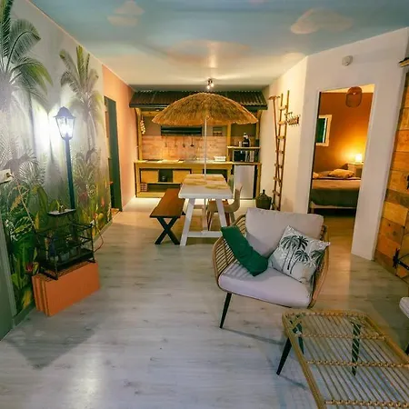 Appartement la cabane du jardin (Troyes)-2