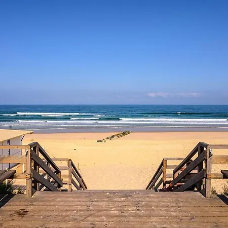 La Cabane aux Ecureuils Appart à 500m de la plage Forêt-2