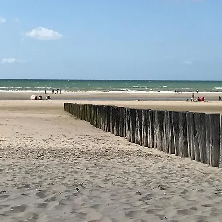 Logement cocooning 50 m de la plage-3