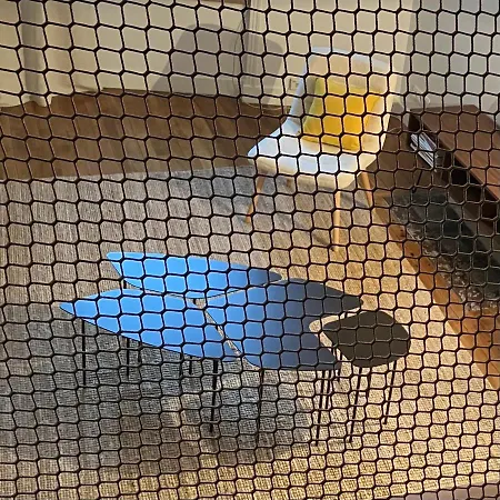 La Petite Maison du 9-3
