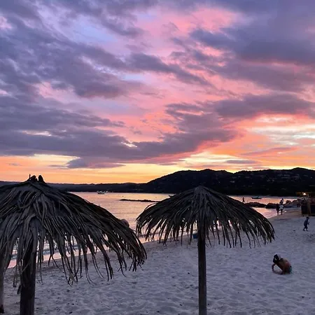 Palombaggia Location I Pini Porto Vecchio-3