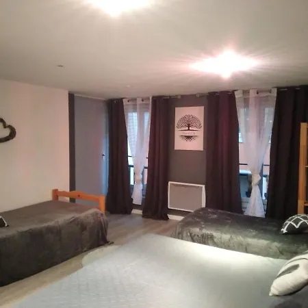 Appartement Loft Grenouillit Le Puy en Velay-2