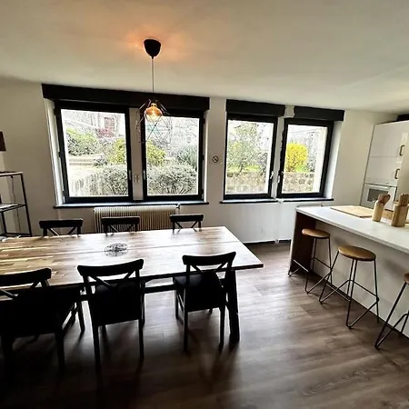 Le Puy en Velay - Appartement grand confort-3