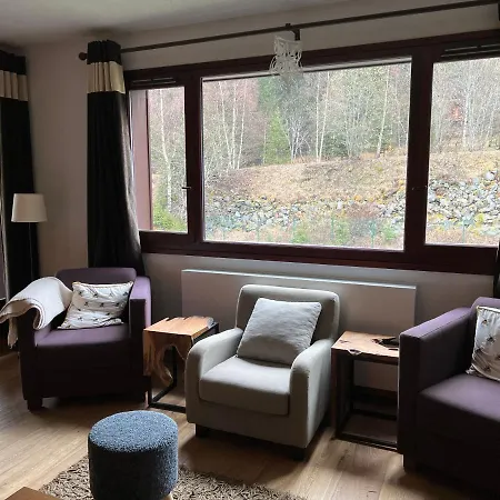 Large Premium Alpine Apartment For 4 To 8 People-3