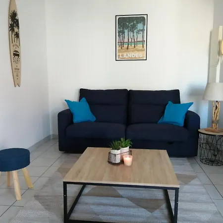 Appartement Eglantine T2Bis avec terrasse couverte-3