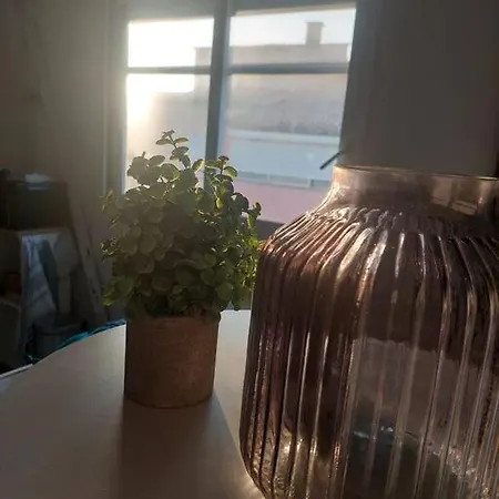 Studio Cosy, A 2 Pas De La Mer-3