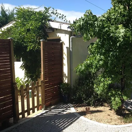 Wisteria-3
