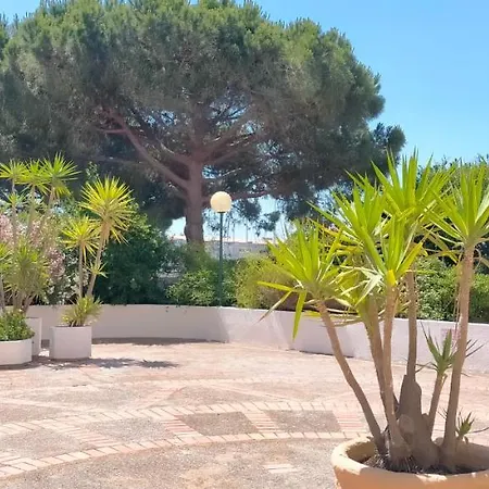 Studio Cap d'Agde la grande voile-2