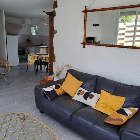 Maison Biscarrosse plage 500m de l océan-2