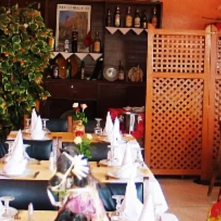 Hotel les palmiers-2