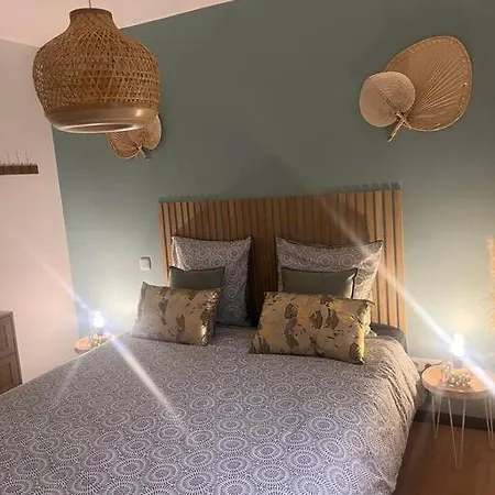 Coin de paradis avec spa illimité en plein centre Avranches-3