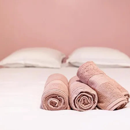 La vie en rose - appartement cosy - centre ville-2