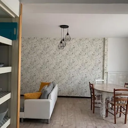 Duplex Centre Ville 3 chambres-3