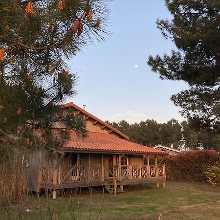 Le Gîte de l'Aérogrange-3