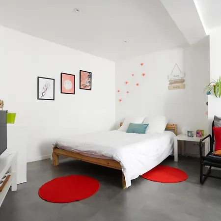 Charmant studio, au cœur de la ville de Riom-3