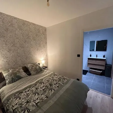 Appartement Cosy Hyper Centre / Vosges-2