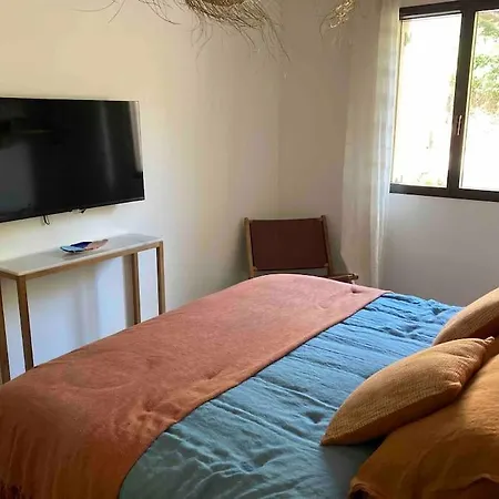 Vignarella meublé de tourisme classé 5 étoiles avec terrasse-3