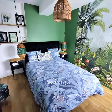 Appartement T2 JUNGLE Centre Ville de VITRÉ au calme coté cour-2