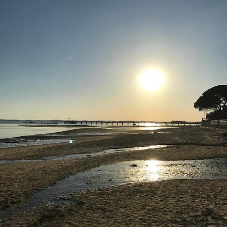 Appart Les Goélands piscine et jardin-3