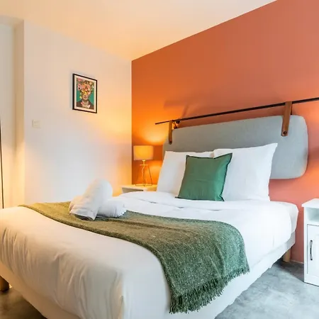 Spacious Apartment W Private Parking In Old Lille-2