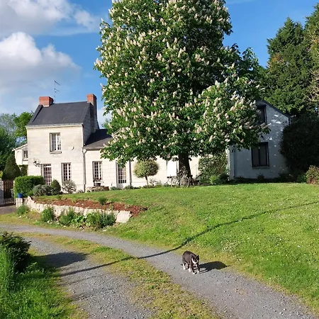 Chambres d'Hôtes de l'Ile du Saule-2