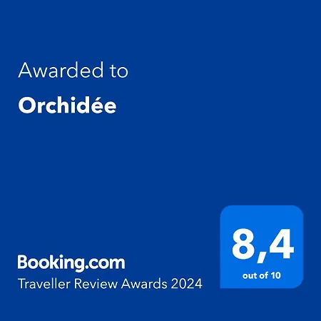 Orchidée-2