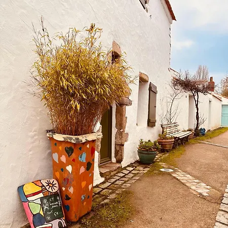 Studio cosy quartier historique-3