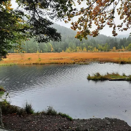 Au Cœur des Lacs - Chambres d'hôtes&Spa-2