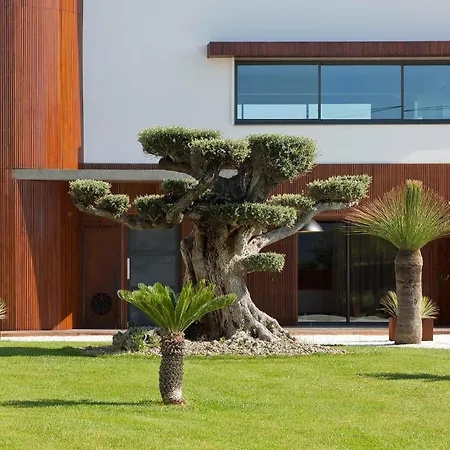 Villa Miramar Frontignan-2