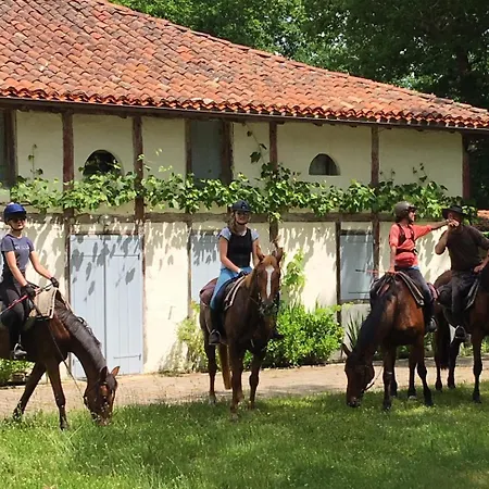 Gite Equestre Marina-3