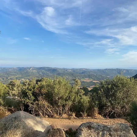 Domaine De Piscia-2