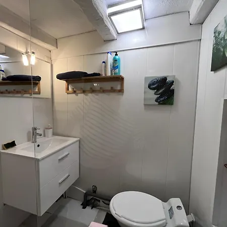 Newly Renovated Studio-2