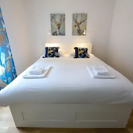 Le Romain - 1-Bedroom With Private Garage-2