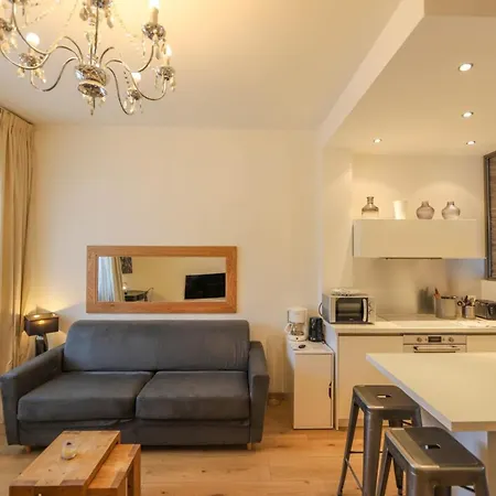 Annecy Apt W Car Park Near Downtown And Lake-3