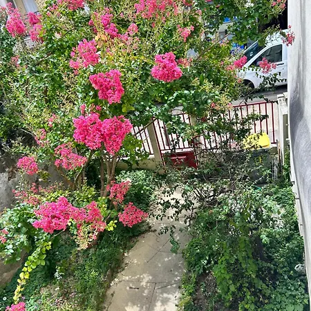 F3 au grenier d'une maison-2