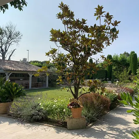 Residence Melody - Adult Only-2
